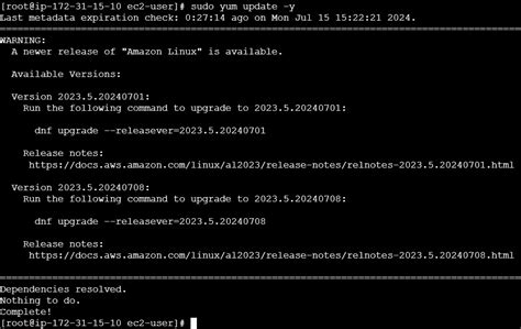 Apache2 Log 的图像结果