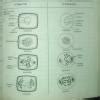 Label the diagram: Stages of mitosis - Brainly.in