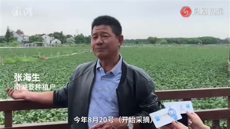 农业 | 2020武汉种业博览会举行，所有参展品种线上展示_蔬菜