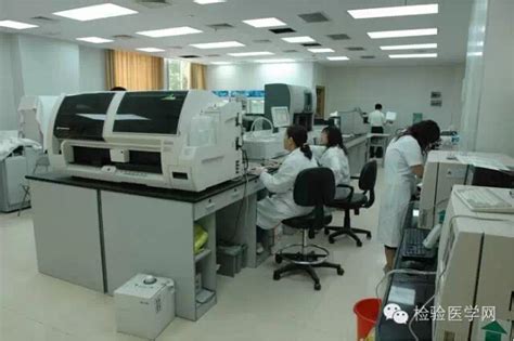 必应检验科 的图像结果