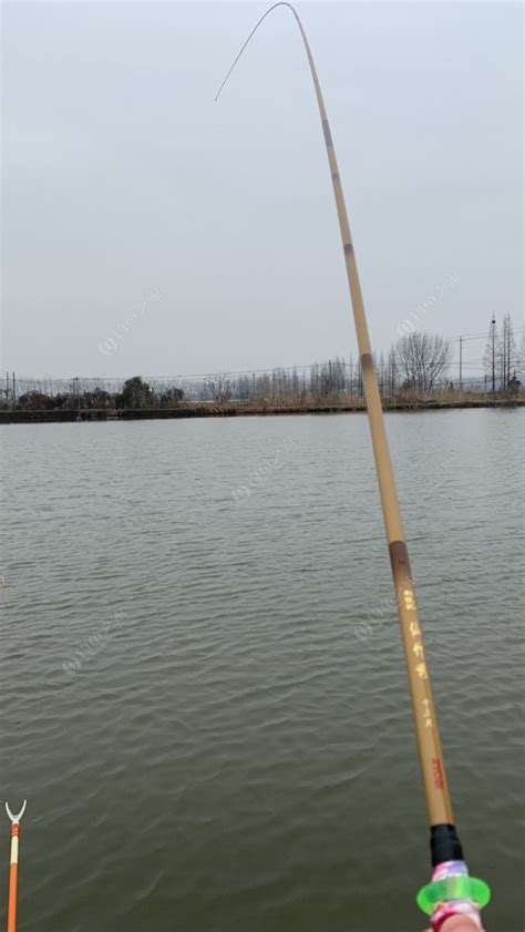 镇江京口区钓场_镇江京口区钓场大全_镇江京口区哪里能钓鱼 - 钓鱼之家