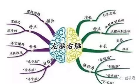 潜能脑动力-少儿全脑开发-右脑开发-少儿潜能开发-上海青本教育科技有限公司