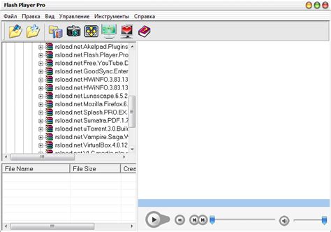 Image result for Flash Player Pro