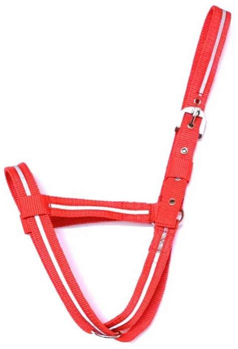 KLC Adjustable Nylon Livestock Cattle Halter Manufacturer, Supplier ...