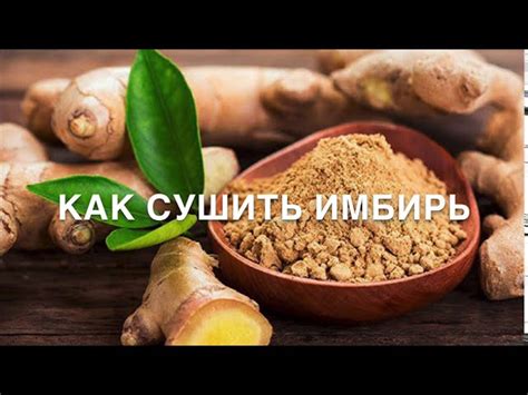 Как сушить имбирь в домашних условиях: свойства, способы хранения и ...