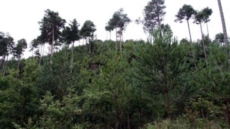 El gran incendio del 1994 sigue vivo en los tribunales 20 años después