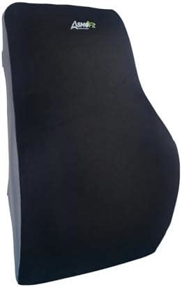 FOVERA Lumbar Support for Chair, Orthopedic Back Support Memory Foam ...