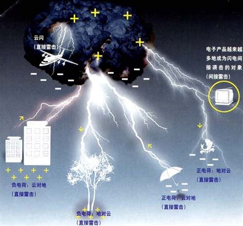 粒子 的图像结果