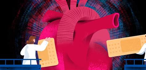 Biomedical Engineering Research 的图像结果