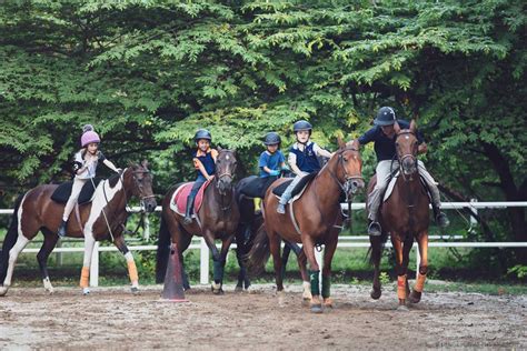 Polo Riding & Lessons - Colts