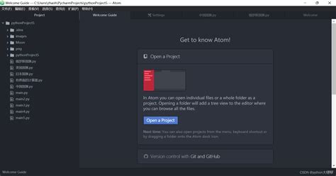 C# Python Editor 的图像结果