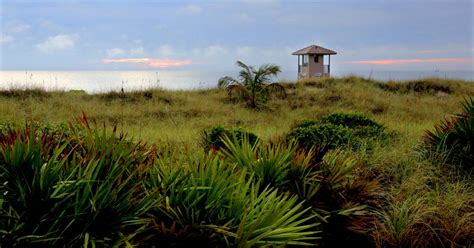 Delray Beach Natural Attractions - Wetlands, Parks & More