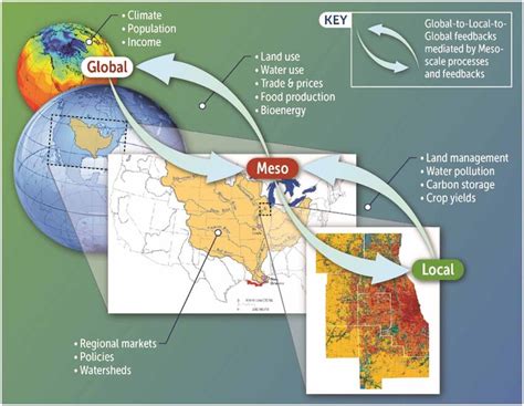 Local and Global Structure 的图像结果