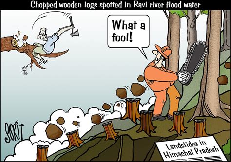 Simply Put: Chopped logs in flood water