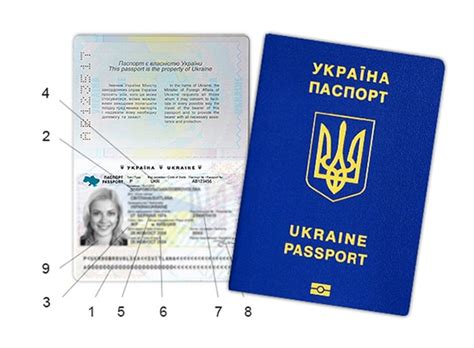 Making a passport in Ukraine will become easier | TeraNews.net