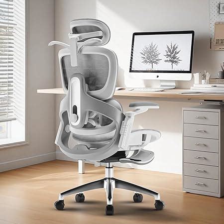 DROGO Ergonomic Office Chair for Work from Home, Chair for Study with ...