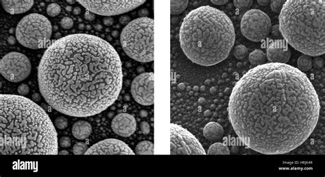 Atom Microscope 的图像结果