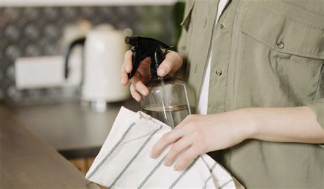 Image result for Zero Waste Cleaning