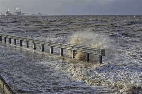 Sea Level 的图像结果