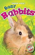 Image result for Caring for Wild Baby Rabbits