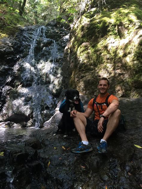 Uvas Canyon County Park Camping | New Almaden, California