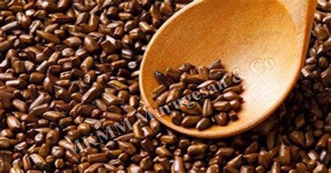 Cassia seeds (Aavara vidhai)