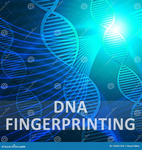Dna Fingerprinting Meaning Genetic Profiling 3d Illustration Stock ...
