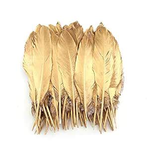 Sowder Natural Goose Feathers Clothing Accessories Pack of 50 (Gold ...
