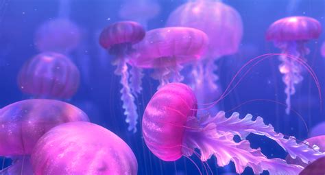 Finding Nemo Jellyfish 2007 的图像结果