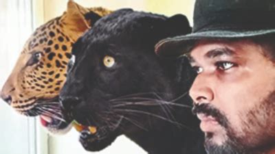Funds Dry, Ap Doc Forced To Leave Pet Big Cats In Ukraine | Vijayawada ...
