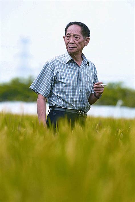 袁隆平教授让世界人民都不再饿肚子，为什么却得不到诺贝尔奖？_腾讯新闻