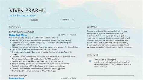 VIVEK PRABHU - Senior Business Analyst Resume (Experience Summary ...