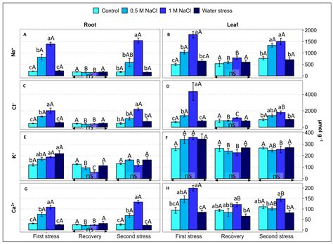 Effect of Recurrent Salt and Drought Stress Treatments on the ...
