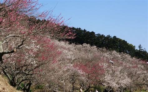 YUGAWARA BAIRIN (2026) All You Need to Know BEFORE You Go (with Photos ...