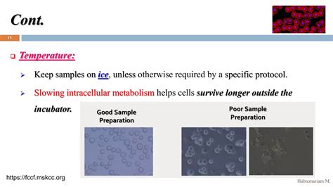Image result for Cell Sorting User Guide