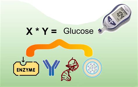 The Personal Glucose Meter as the Measurement Principle in Point-of ...