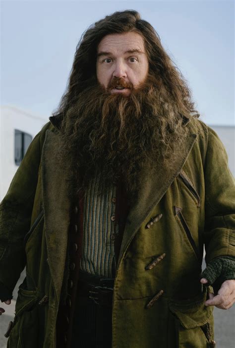 Harry Potter: Nick Frost transforms into Hagrid in first look photo ...