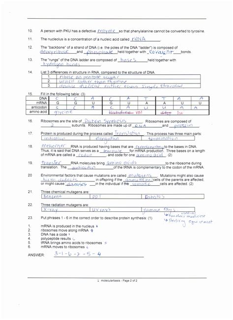 Image result for Protein Synthesis Review Worksheet