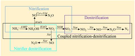 Nitrous Oxide from Abiotic Processes of Hydroxylamine and Nitrite in ...