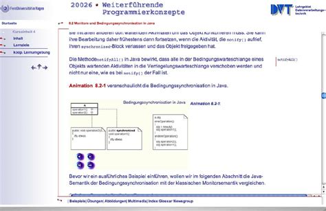 Advanced HTML Programming 的图像结果