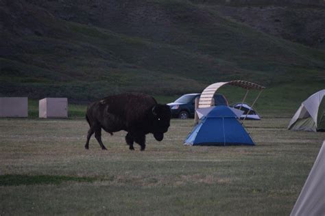 Sage Creek Campground Badlands South Dakota Camping