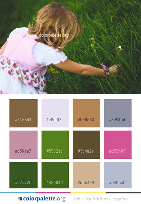 FlowerColor 的图像结果