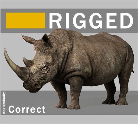Rhino 3D Model $39 - .obj .max - Free3D