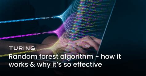 Image result for Random Forest Algorithm Steps