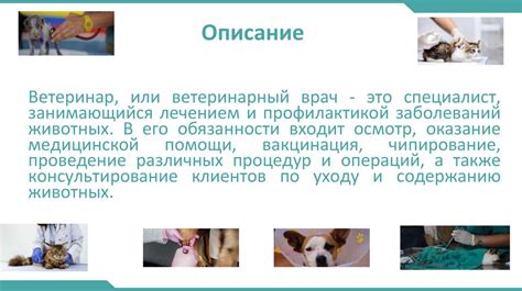 Профессия ветеринар - презентация онлайн