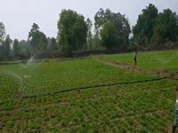 Transforming Livelihood of Tribal Farmers in Odisha through Integrated ...