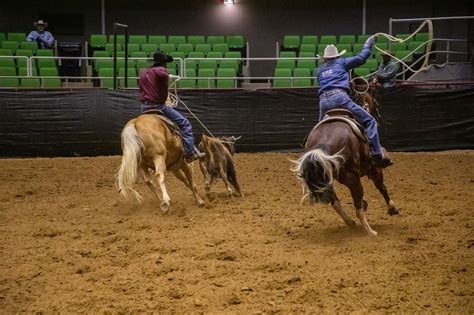 Image result for Team Roping Rodeo