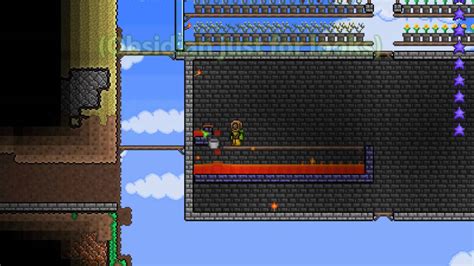 How To Grow Flowers Terraria at Edward Mozingo blog