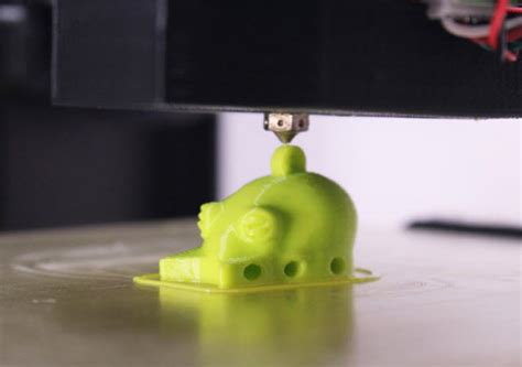 Prototypes For Our Pets