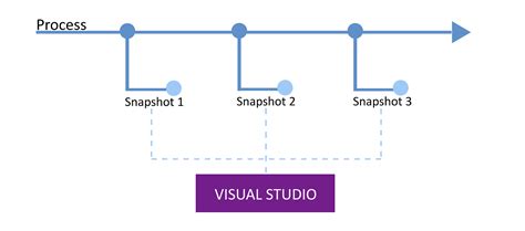Debugger Visual Studio 的图像结果